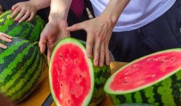 学校瓜在线免费吃瓜,免费瓜果等你来尝